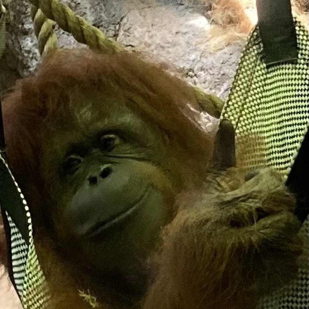 Racine Zoo - Zoos Near Me - Racine, Wisconsin