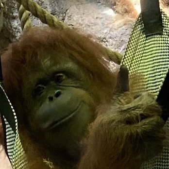 Racine Zoo - Zoos Near Me - Racine, Wisconsin