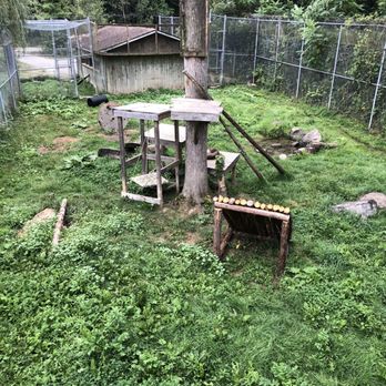 Parc Safari - Zoos Near Me - Saint-Bernard-de-Lacolle, Quebec