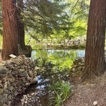 Boeger Winery - Pond - Wineries Near Me - Placerville, California