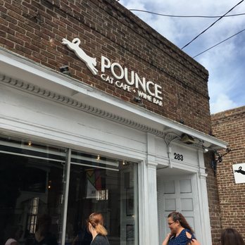 Pounce Cat Cafe - Pet Adoption Near Me - Charleston, South Carolina Pounce Cat Cafe - Pet Adoption Near Me - Charleston, South Carolina