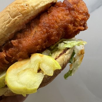 Shake Shack Hoboken - Buffalo chicken Sammy - Burgers Near Me - Hoboken, New Jersey