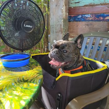 Blue Heaven - Dog friendly! - Breakfast & Brunch Near Me - Key West, Florida
