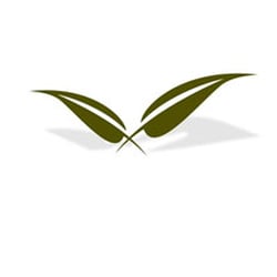 Vita Vitalis - Ayurvedische Massagen