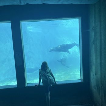 Brookfield Zoo Chicago - Zoos Near Me - Brookfield, Illinois