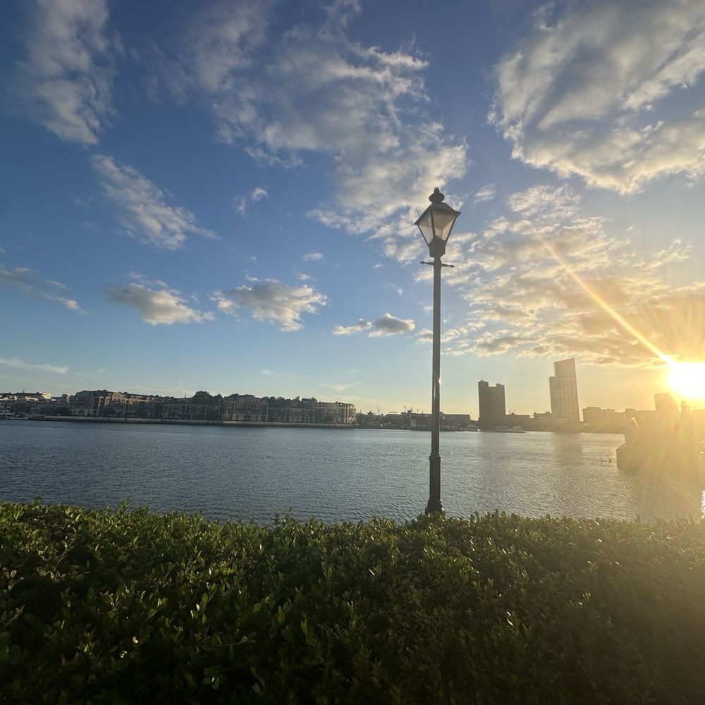 Azumi - View from patio - Sushi Bars Near Me - Baltimore, Maryland Azumi - View from patio - Sushi Bars Near Me - Baltimore, Maryland