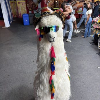 San Diego County Fair - Festivals Near Me - Del Mar, California