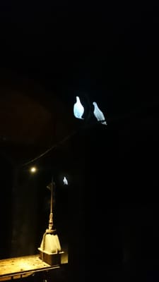 Cisterns in Søndermarken by null