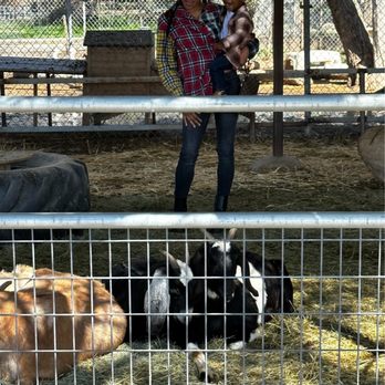Gilchrist Farm - Horseback Riding Near Me - Santa Clarita, California Gilchrist Farm - Horseback Riding Near Me - Santa Clarita, California