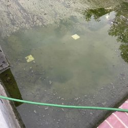 Fishel Pools