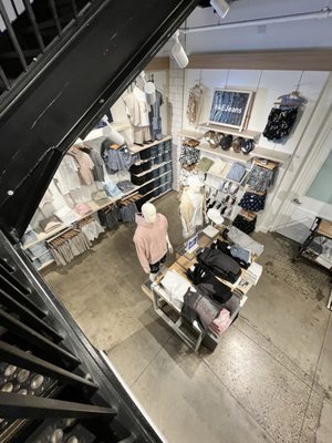 American Eagle by null