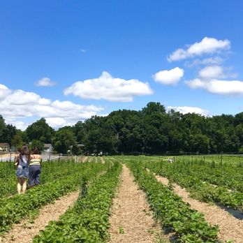 Farms View Roadstand - Farmers Market Near Me - Wayne, New Jersey