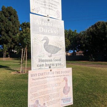 Scherer Park - Don't feed the ducks! - Parks Near Me - Long Beach, California Scherer Park - Don't feed the ducks! - Parks Near Me - Long Beach, California
