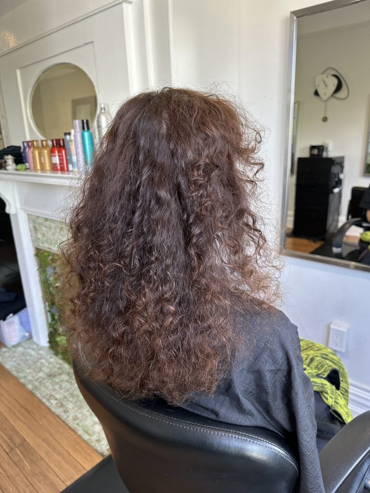 Hair by Sofia Logo