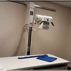 Louisiana Family Medicine Clinic - In house x-ray at Louisiana Family Medicine Clinic in Bossier City, LA