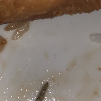 Hearty's - Bugs in my food - Taiwanese Near Me - Gaithersburg, Maryland Hearty's - Bugs in my food - Taiwanese Near Me - Gaithersburg, Maryland