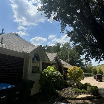 Valdez Tree Service - Completed tree - Tree Services Near Me