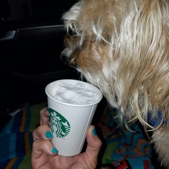 STARBUCKS - Starbucks, Rocky, whip creme & hot Cafe Mocha yum yum yum! - Coffee & Tea Near Me - Largo, Florida STARBUCKS - Starbucks, Rocky, whip creme & hot Cafe Mocha yum yum yum! - Coffee & Tea Near Me - Largo, Florida