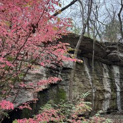 Tanyard Creek Nature Trail