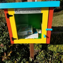 Little Free Library