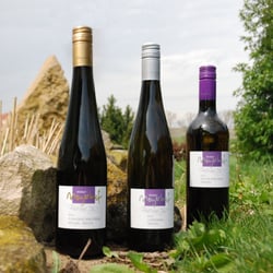 Weingut & Weinparadies Meyerhof