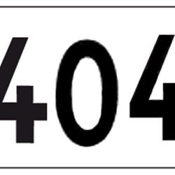 AU 404 BR