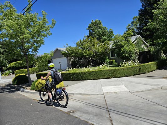 Napa Valley Bike Tours & Rentals by null