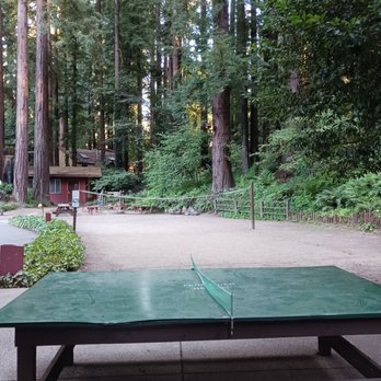 Fern River Resort - Ping pong table looking towards court - Resorts Near Me - Felton, California Fern River Resort - Ping pong table looking towards court - Resorts Near Me - Felton, California