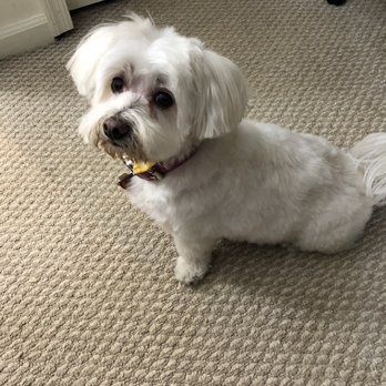 Head to Tail - Pet Stores Near Me - Cliffside Park, New Jersey