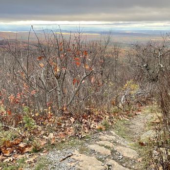 Pack Monadnock - Hiking Near Me - Temple, New Hampshire