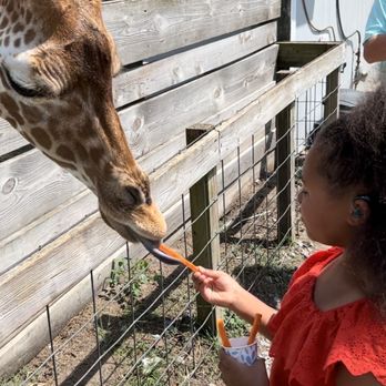 Aloha Safari Park - Zoos Near Me - Cameron, North Carolina Aloha Safari Park - Zoos Near Me - Cameron, North Carolina