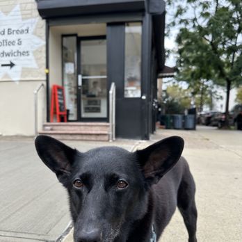 A & C Super - Bart likes bagels too - Breakfast & Brunch Near Me - Brooklyn, New York