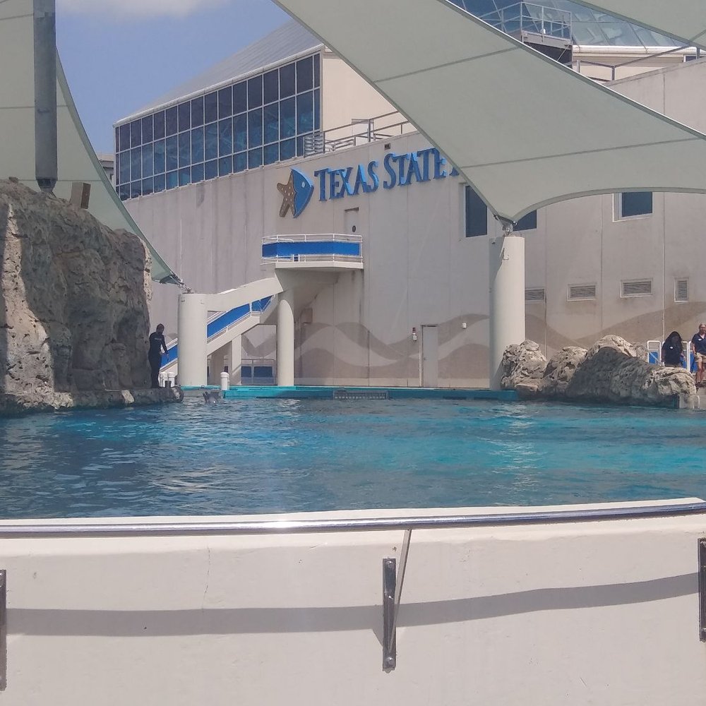 Texas State Aquarium - Dolphin show - Aquariums Near Me - Corpus Christi, Texas Texas State Aquarium - Dolphin show - Aquariums Near Me - Corpus Christi, Texas