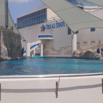Texas State Aquarium - Dolphin show - Aquariums Near Me - Corpus Christi, Texas