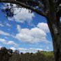 Photo of Brimbank Park
