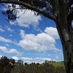 Brimbank Park
