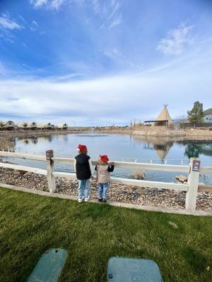 Zion White Bison Glamping + RV Resort by null
