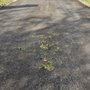 Photo of TMT Asphalt