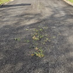 TMT Asphalt - This is one of the spots growing through.