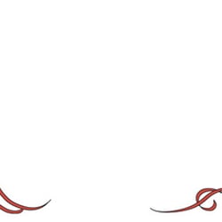 Kagi