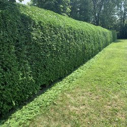 York Lawn Services