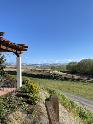 Castillo de Feliciana Vineyard and Winery by null