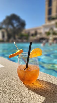 Bellagio Pool by null