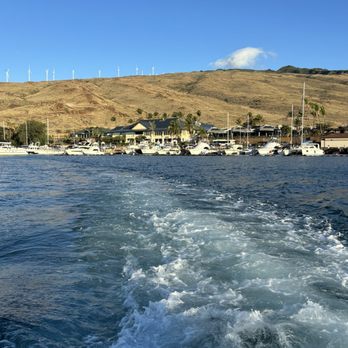 Aloha Blue Charters - Boat Charters Near Me - Wailuku, Hawaii Aloha Blue Charters - Boat Charters Near Me - Wailuku, Hawaii