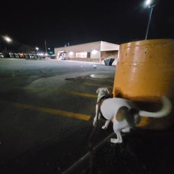 Pilot Travel Center
