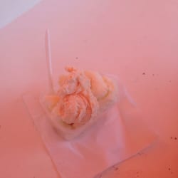 Wingbergerhoeve Fruit & Ijs - Sinasappelijs en citroensorbet