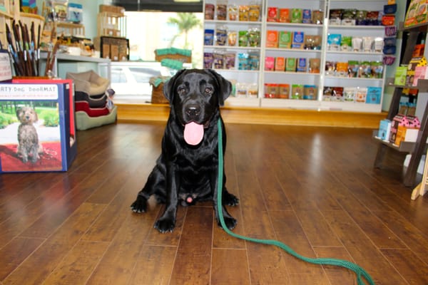 St PetersBARK Natural Pet Market MLK