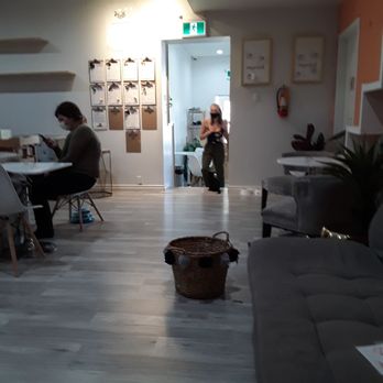 Cat Cafe on Whyte - Coffee & Tea Near Me - Edmonton, Alberta