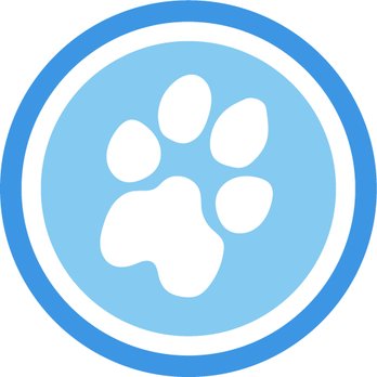 lasting paws pet memorial service