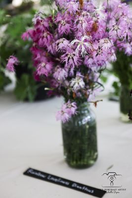 Baker Creek Heirloom Seed Company by null